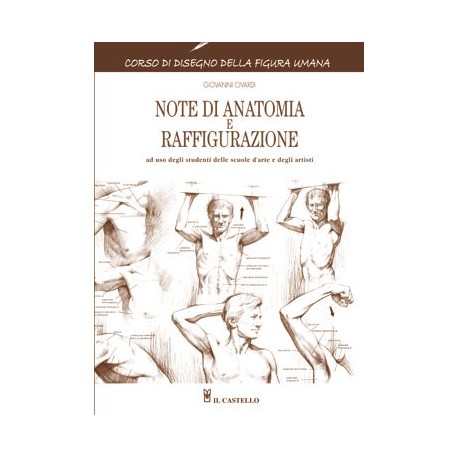 Note di anatomia e raffigurazione