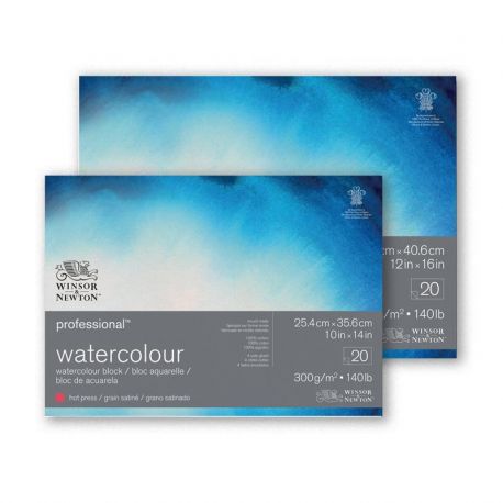 Carta Acquerello Winsor&Newton Professional Grana Satinata 300 gr. W&N  Blocchi 17,8x25,4cm 20 fg.