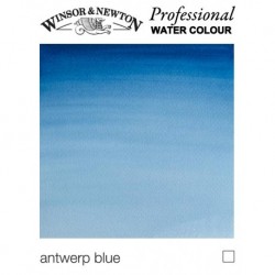 Acquerelli Winsor & Newton Professional ½ Godet Sfusi