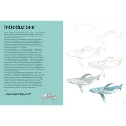 Come Disegnare Animali del Mare