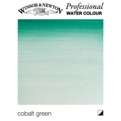 Acquerelli Winsor & Newton Professional ½ Godet Sfusi W&N