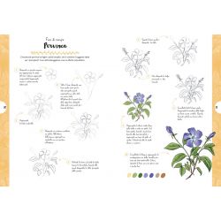 Disegnare è Facile, Fiori e Piante