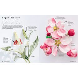 L'Arte del Disegnare Fiori