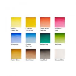 Set Acquerelli 12 ½ godet, Winsor&Newton Cotman Pocket Plus