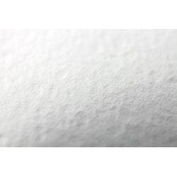 Carta Acquerello Winsor&Newton Professional Grana Grossa 300 gr.