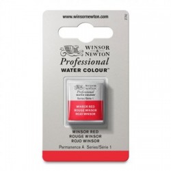 Acquerelli Winsor & Newton Professional ½ Godet Sfusi