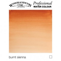 W&N Professional, Acquerelli Extrafini, Tubo 5ml, Sfusi