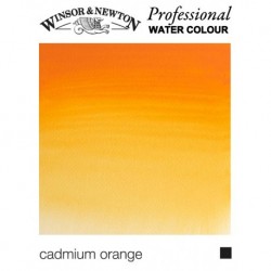 W&N Professional, Acquerelli Extrafini, Tubo 5ml, Sfusi