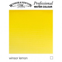 W&N Professional, Acquerelli Extrafini, Tubo 5ml, Sfusi
