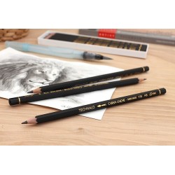 Caran D'Ache Technalo, Matite in Grafite Aquarellabili