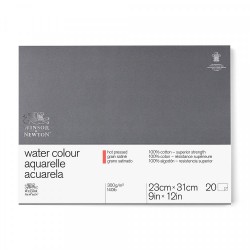 Carta Acquerello Winsor&Newton Professional Grana Satinata 300 gr.