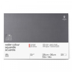 Carta Acquerello Winsor&Newton Professional Grana Satinata 300 gr. W&N  Blocchi 17,8x25,4cm 20 fg.