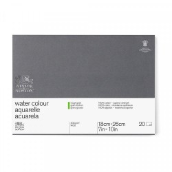 Carta Acquerello Winsor&Newton Professional Grana Grossa 300 gr.