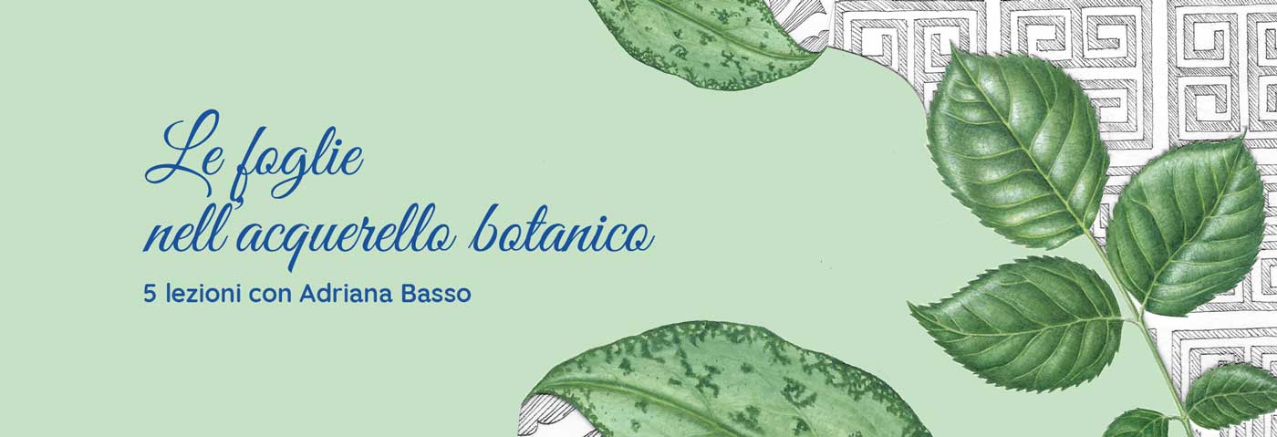 Le foglie nell'acquerello botanico corso